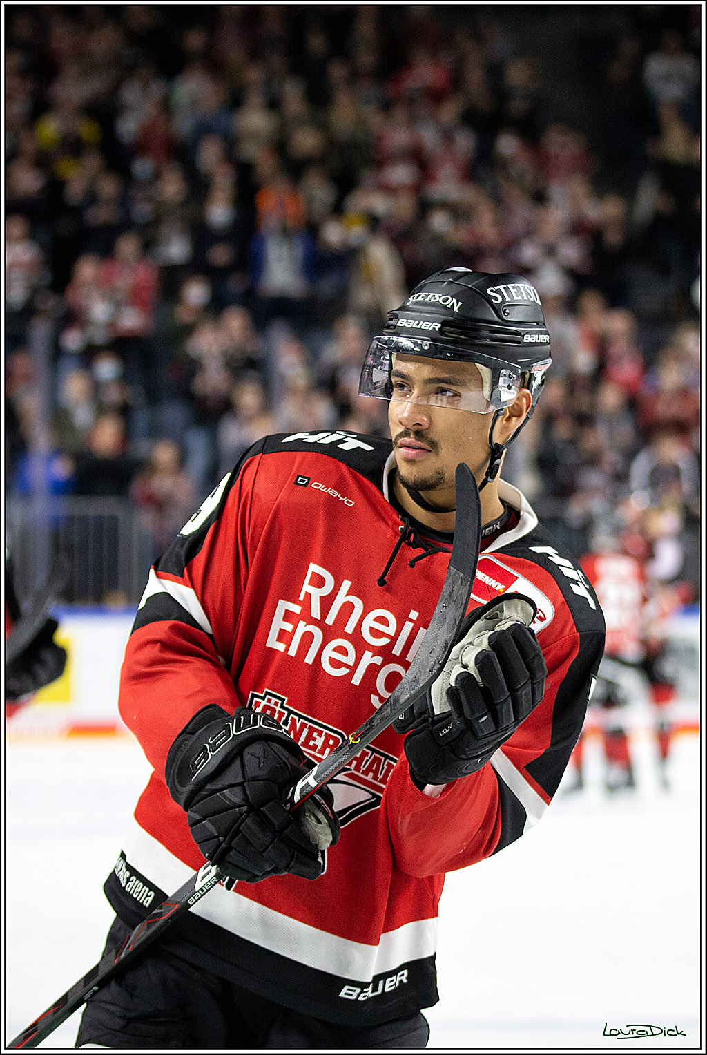 PENNY DEL; Koelner Haie- Bietigheim Steelers; Koeln, 19.11.2021